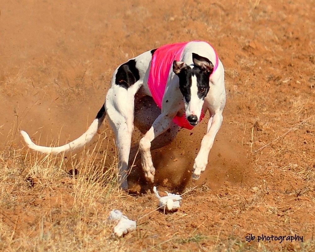 Faster Than a Speeding Bullet 